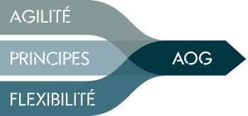 AOG values: alert, principled, adaptative